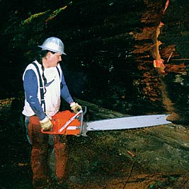 Running a chainsaw in the woods.